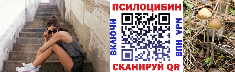 ссылка на мегу ТОР  Клинцы  Галлюциногенные грибы MAGIC MUSHROOMS  наркота 