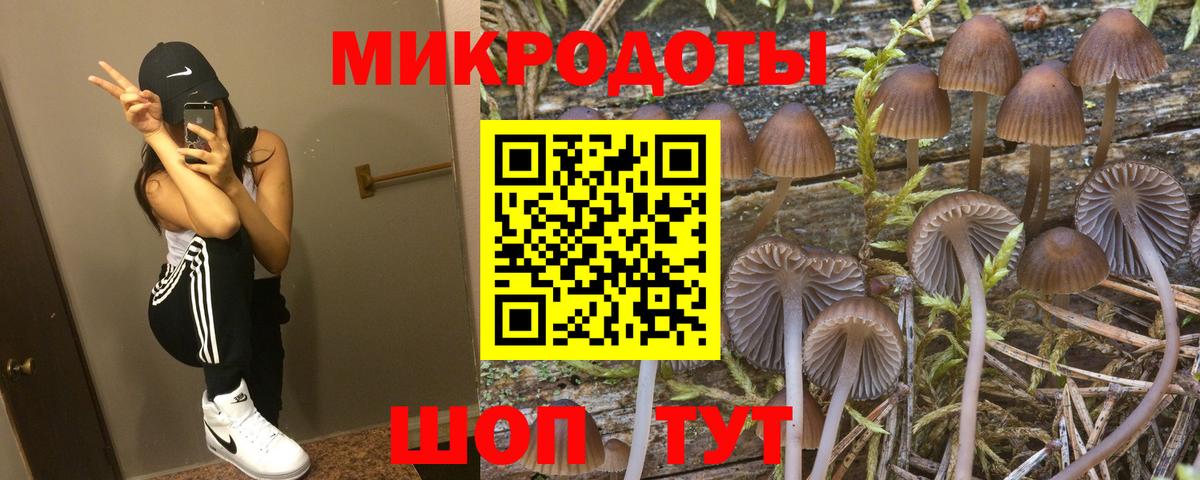Галлюциногенные грибы Cubensis  Вход с VPN  Клинцы 