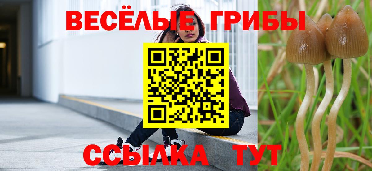 Псилоцибиновые грибы ЛСД Клинцы
